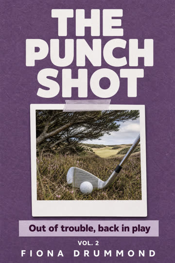 Get The Punch Shot, Vol. II